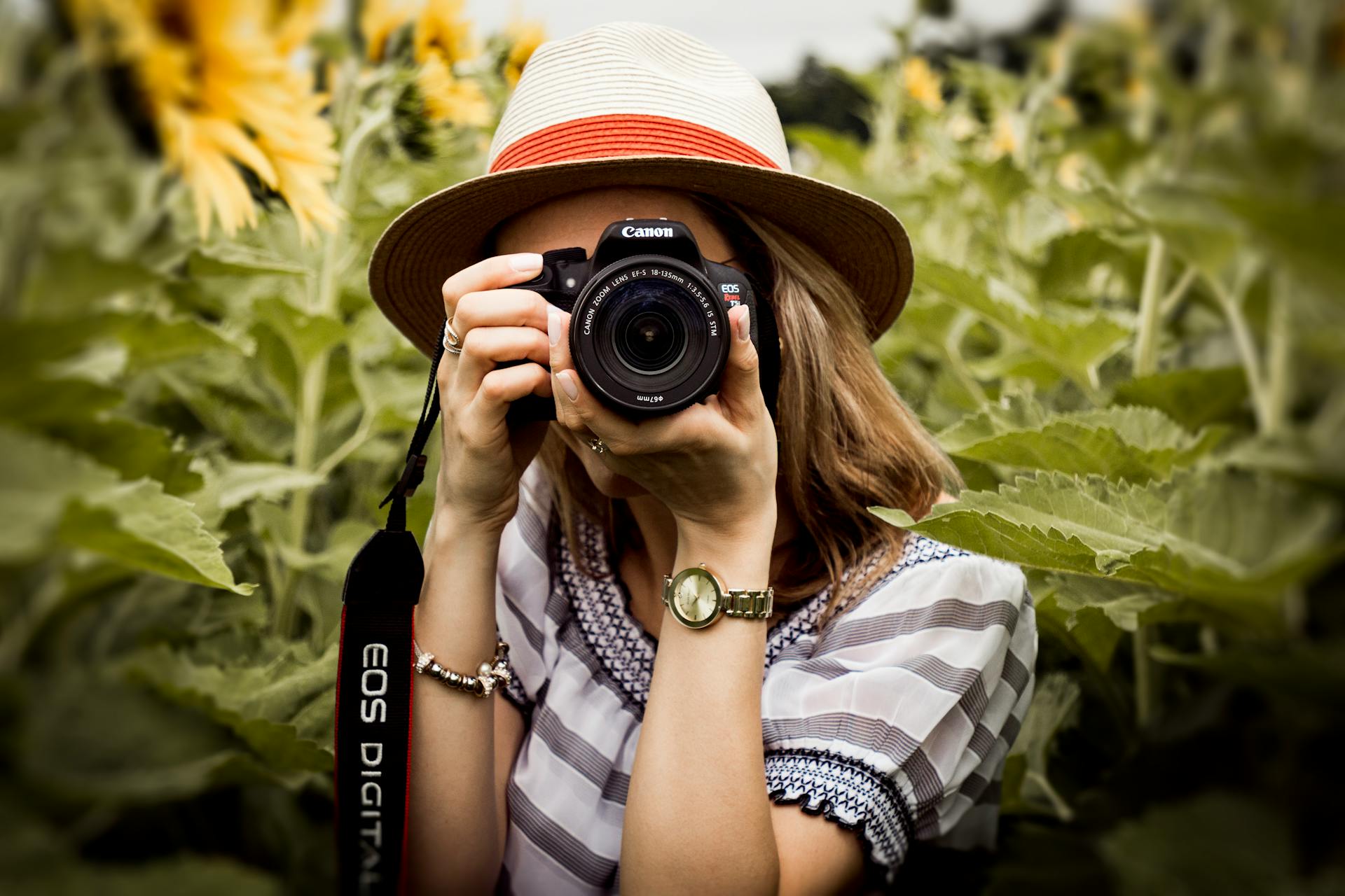 Read more about the article Lorem ipsum