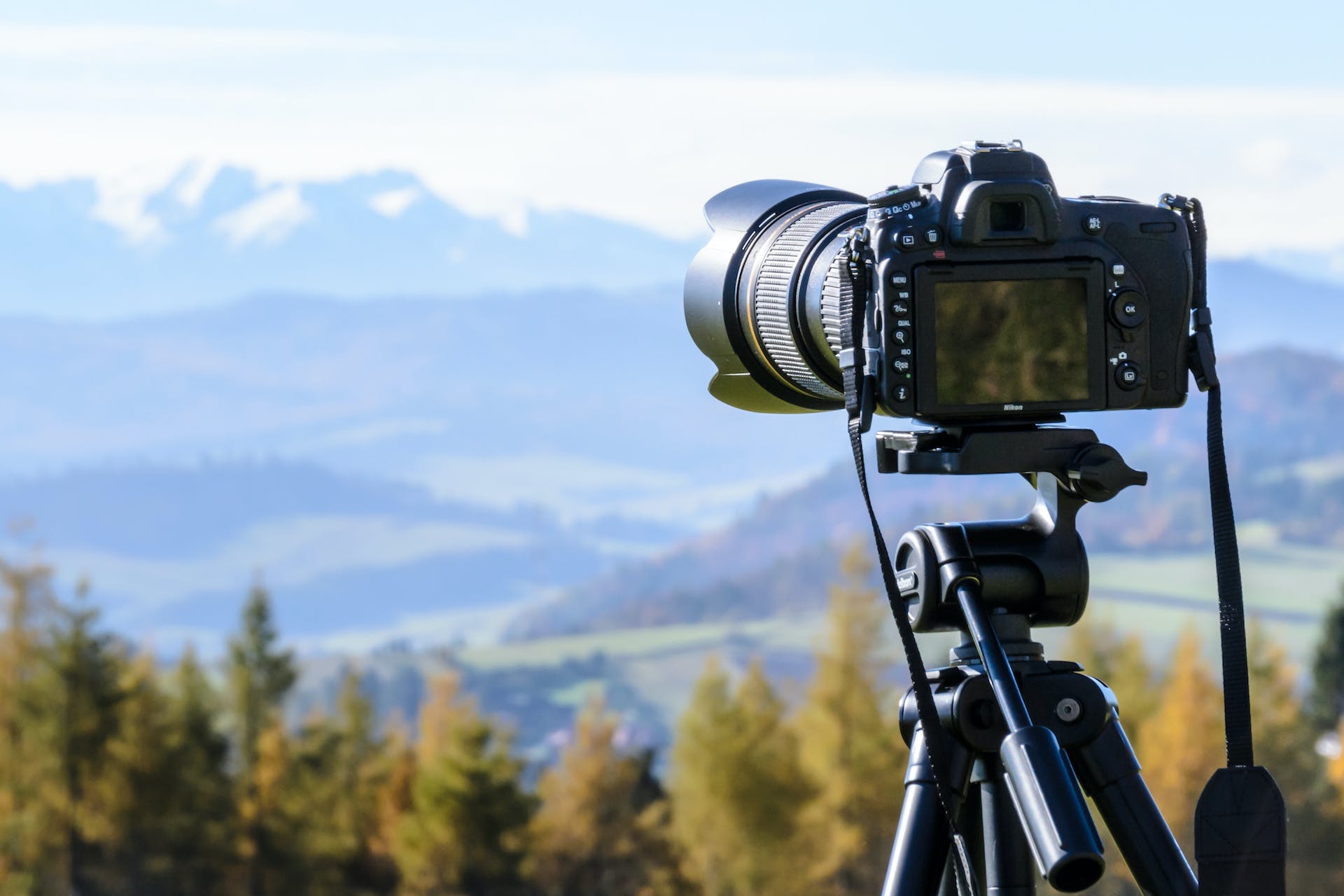 Read more about the article Lorem ipsum
